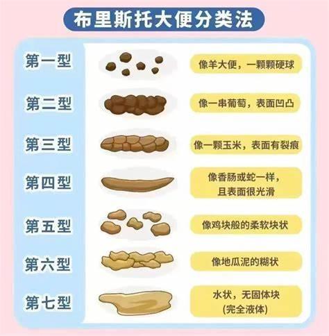 布里斯托大便分类法解读
